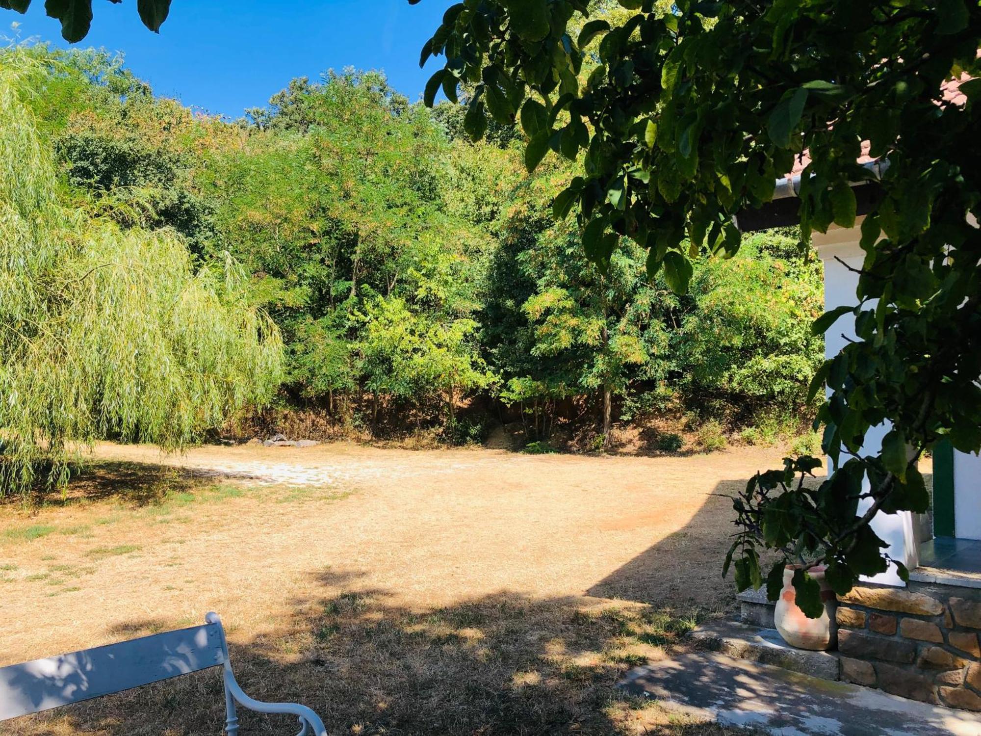 Aligvár Vendégház Salfold Exterior foto
